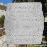 images/Oplevelser/Oliventrae Vouves/Olivetree-i-Vouves-02.jpg